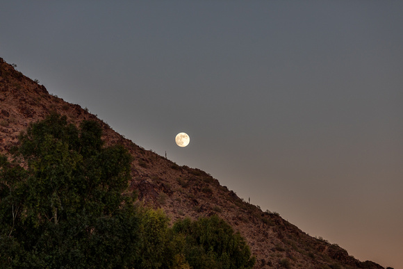 Rising Moon
